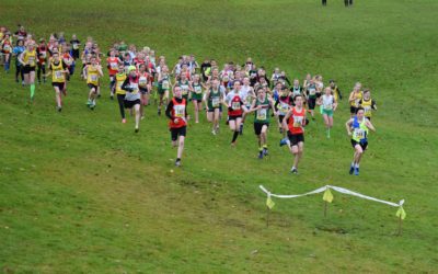 Match One Results & report and Match Two details