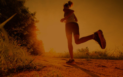 The curtain falls on another great season