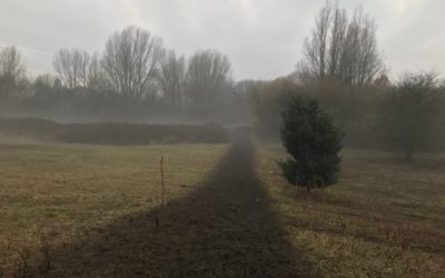 Match Three Kenworthy Woods