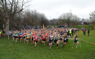 Good luck to everyone of you!