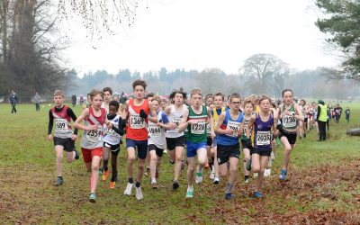 Match One Venue Details