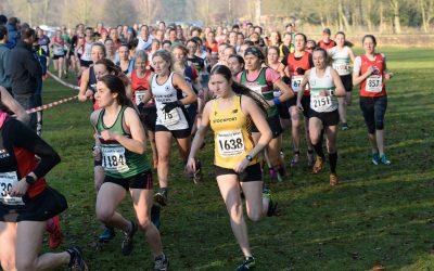 Seasons update and finalised fixtures