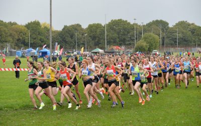 Updated League Tables and Divisional Structure