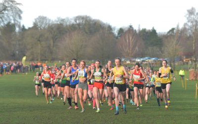 Post Match Three Update