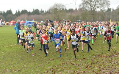 Race Winners Pictures