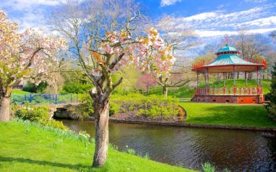 HELP NEEDED FOR SATURDAY